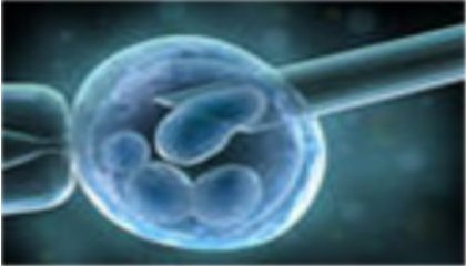 PPL autorisant la recherche sur l'embryon
